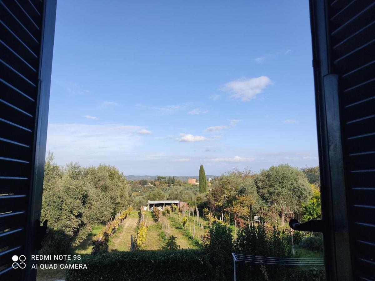 Holiday House I Colli Pisani Apartment Capannoli Ngoại thất bức ảnh